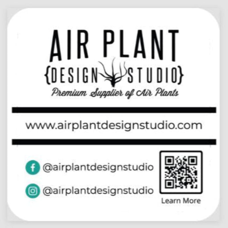air plant ticket Wholesale: Air Plant Care Cards