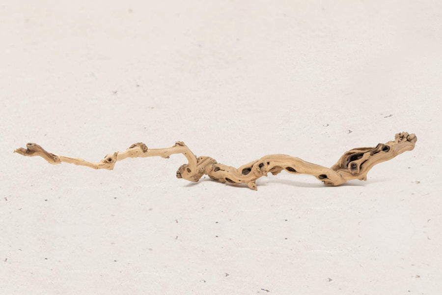 medium single branch grapewood