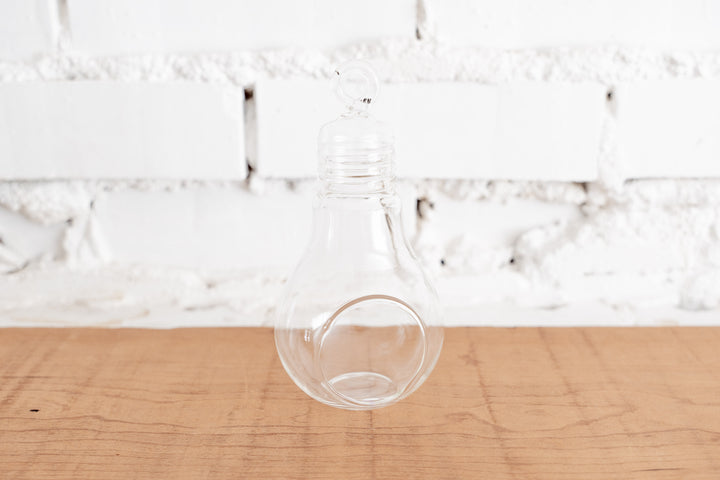 Glass Light Bulb Shaped Terrarium