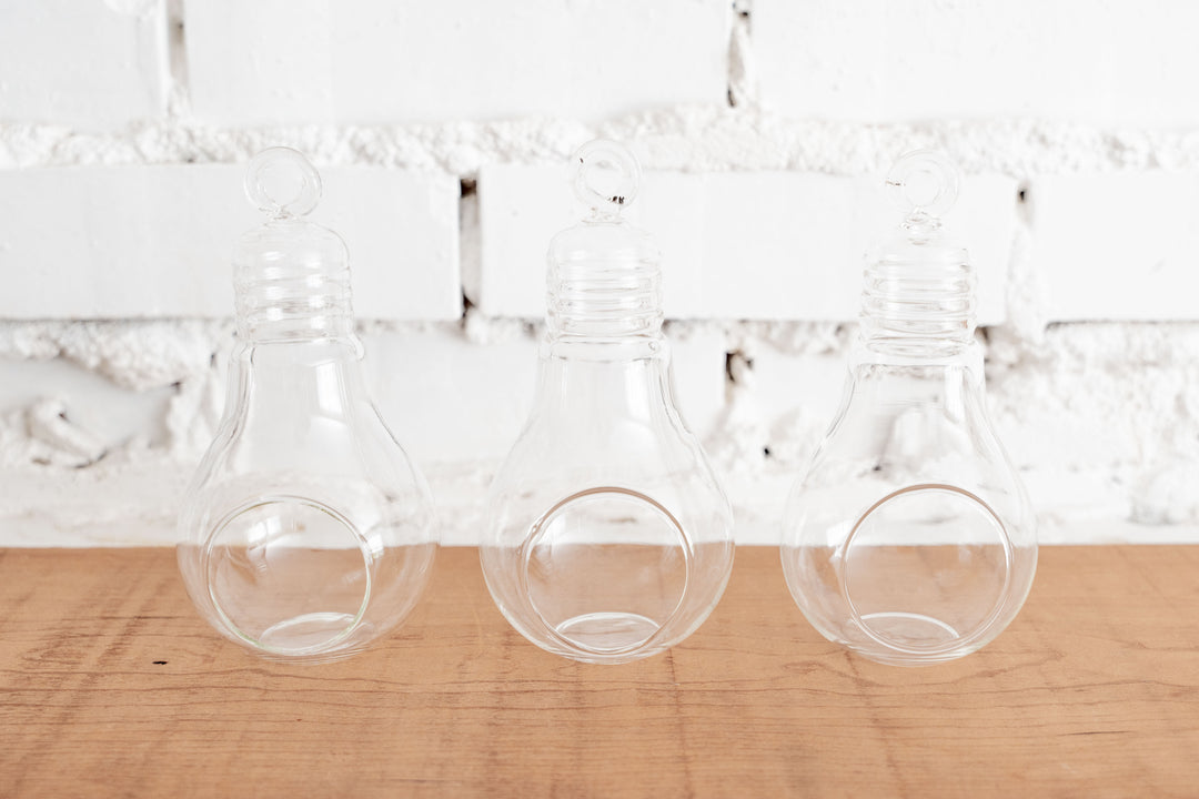 3 Glass Light Bulb Shaped Terrariums