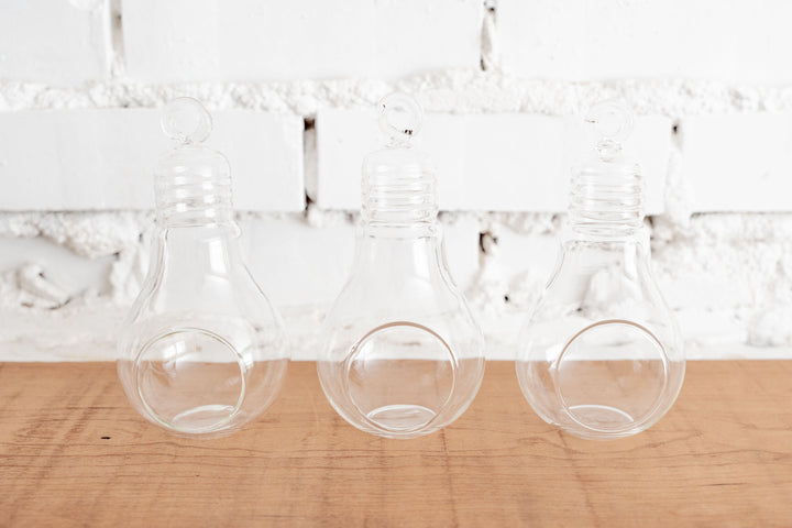 3 Glass Light Bulb Shaped Terrariums