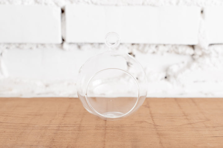 Mini Flat Bottom Glass Globe Terrarium
