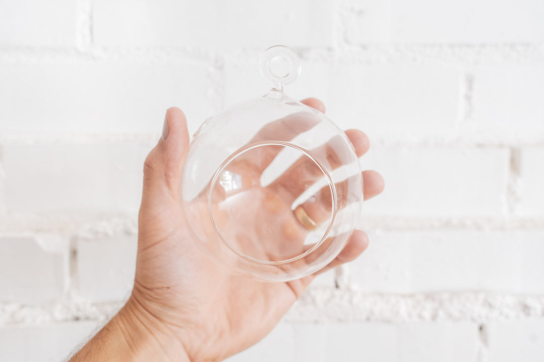 Hand Holding Round Bottom Glass Globe Terrrarium