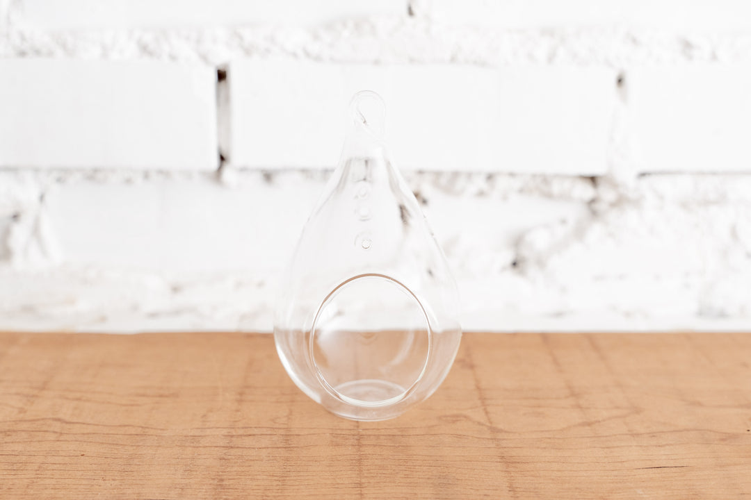 Teardrop Shaped Glass Terrarium