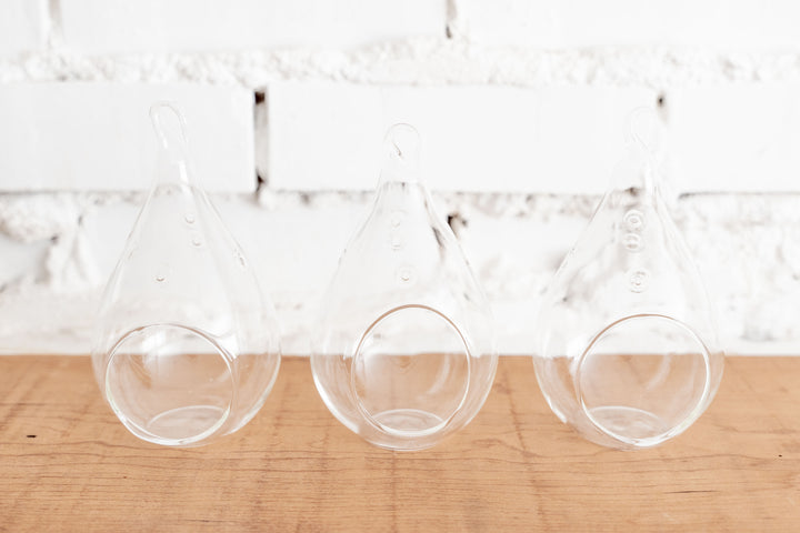 3 Teardrop Shaped Glass Terrariums