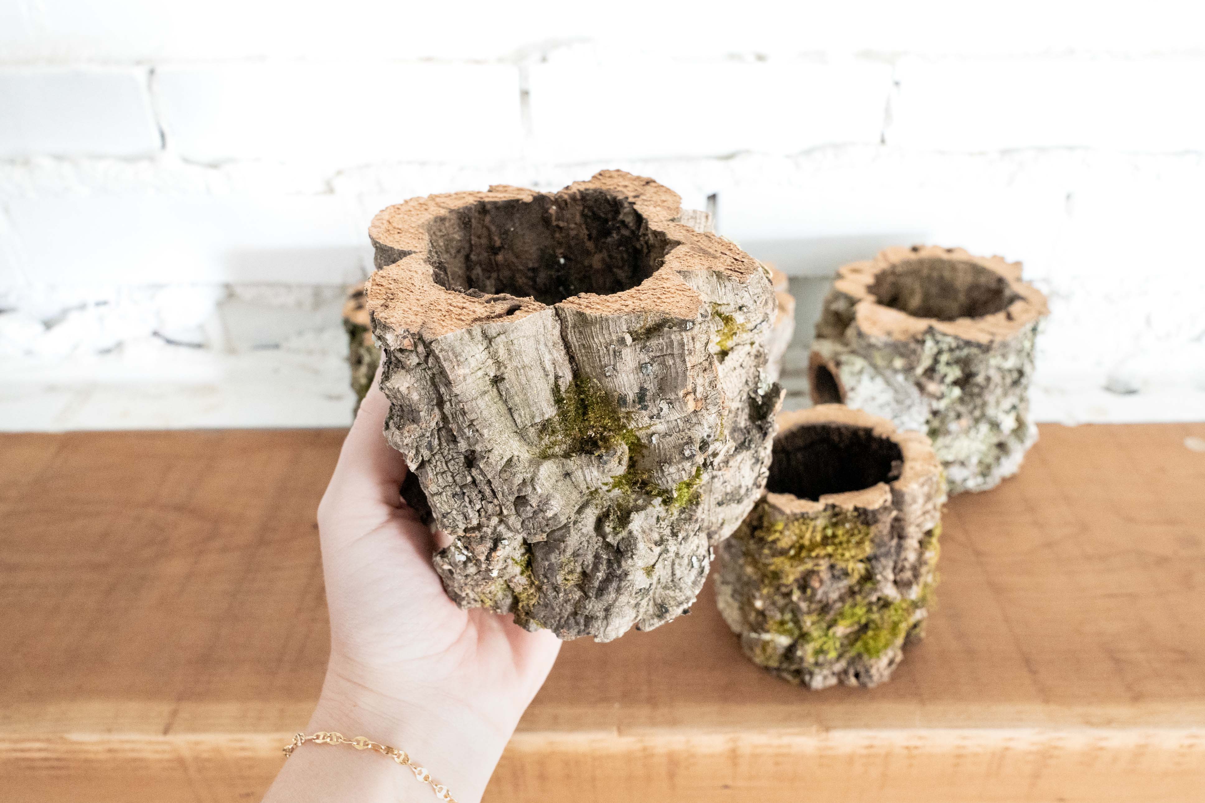 cork planter pot Wholesale: Natural Cork Bark Planters