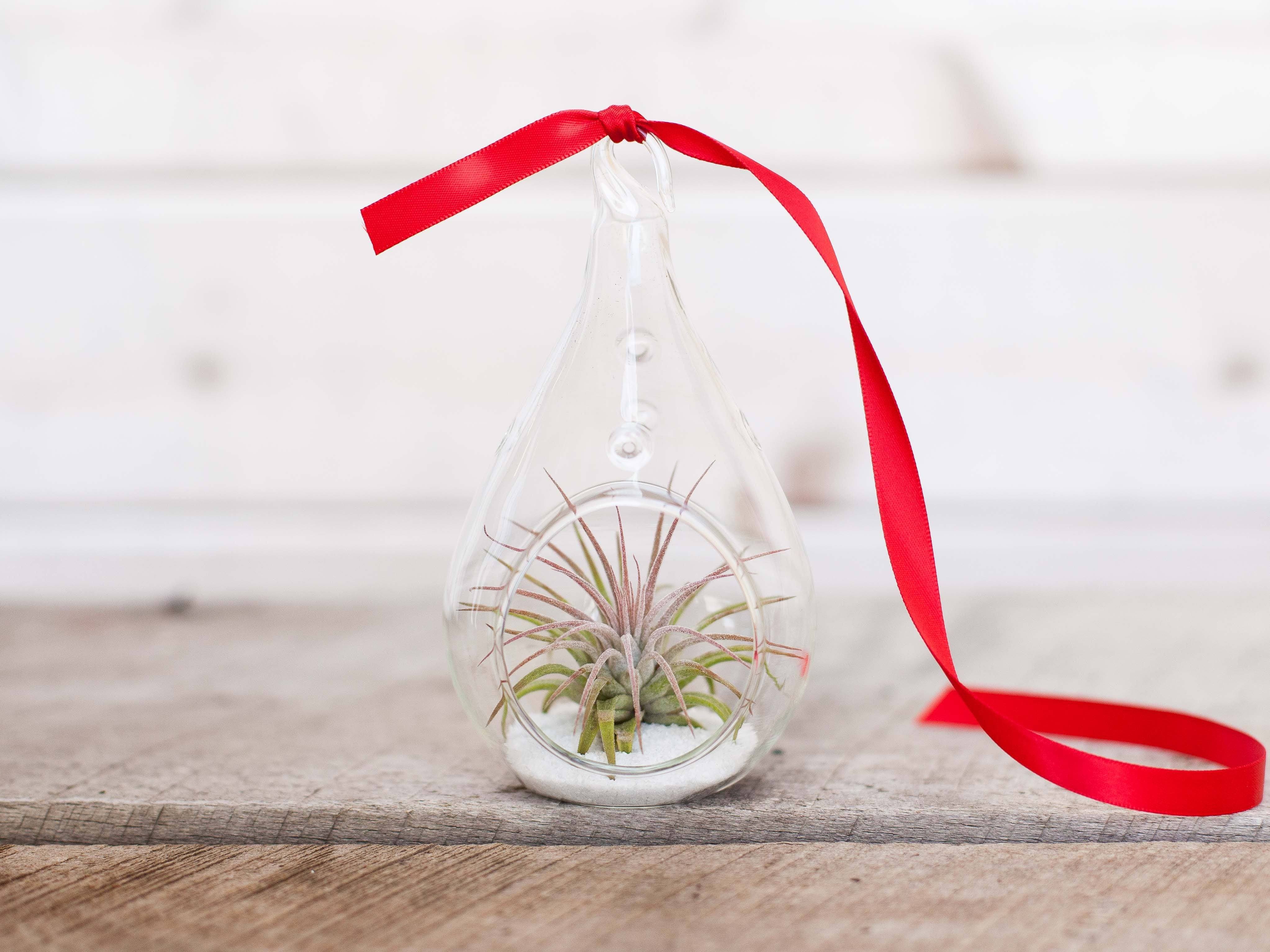 hooks for hanging plant pots Hangapot the Hidden Flower Pot Hanger, Vertical Gardens Made Easy with  this ingenious clay pot clip