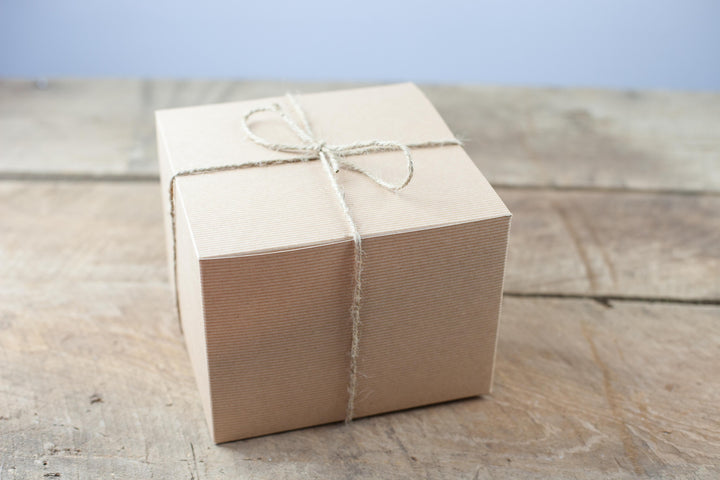 Red Pod with Assorted Tillandsia Air Plant and Custom Reindeer Moss