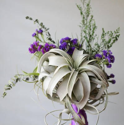 What’s Your Air Plant Wedding Style: The Modern Wedding