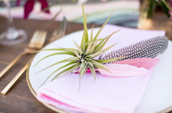 Tillandsia Air Plant on top of a place setting