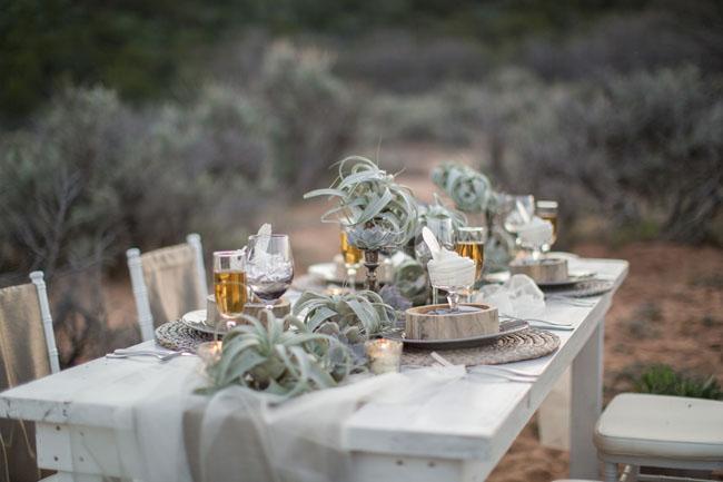 Tillandsia Air Plant Table Settings