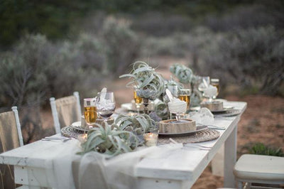 Air Plant Weddings: Table Decor