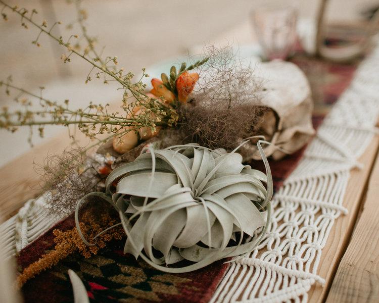 Tillandsia Air Plants Wedding Display