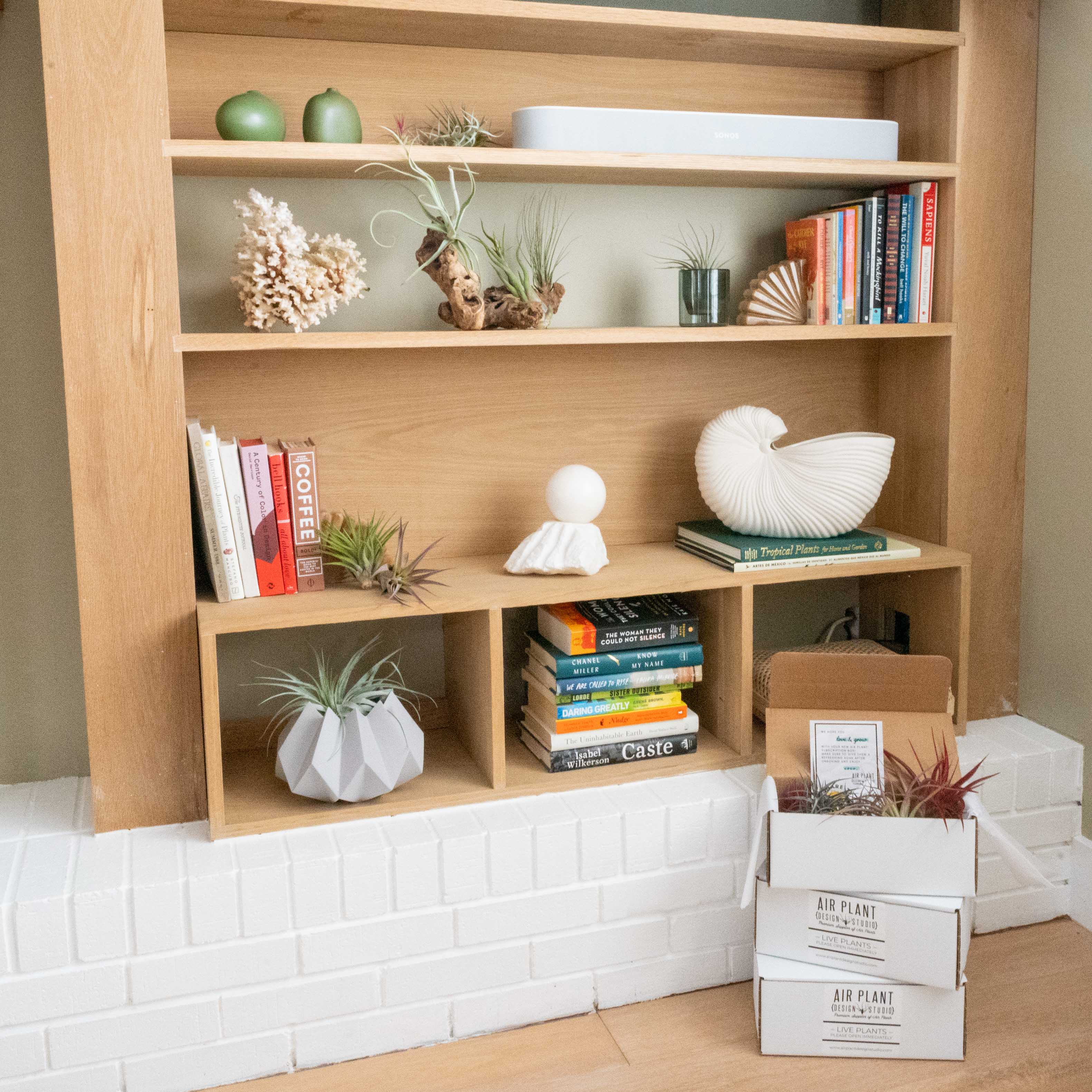 Bookcase decorated with tillandsia air plants with subscription boxes stacked in front of it