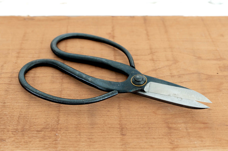 Wholesale: Bonsai-Style Pruning Scissors for Tillandsia Air Plants