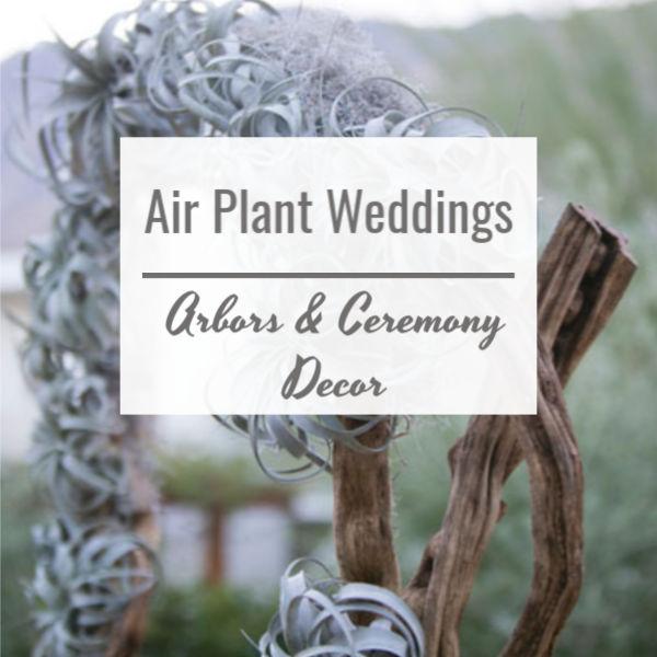 Air Plant Weddings, Arbors and Ceremony Decor - wedding arbor covered with tillandsia xerographica air plants