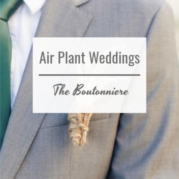 Air Plant Weddings, Grooms Boutonniere