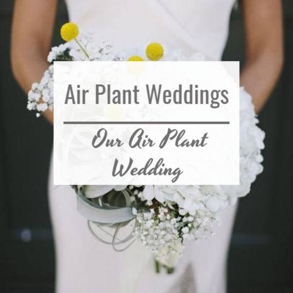 Air Plant Weddings, Bride Holding a Bouquet