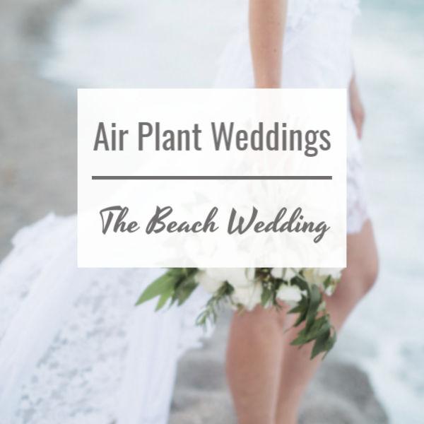 Air Plant Weddings, The Beach Wedding - bride holding a bouquet on the beach