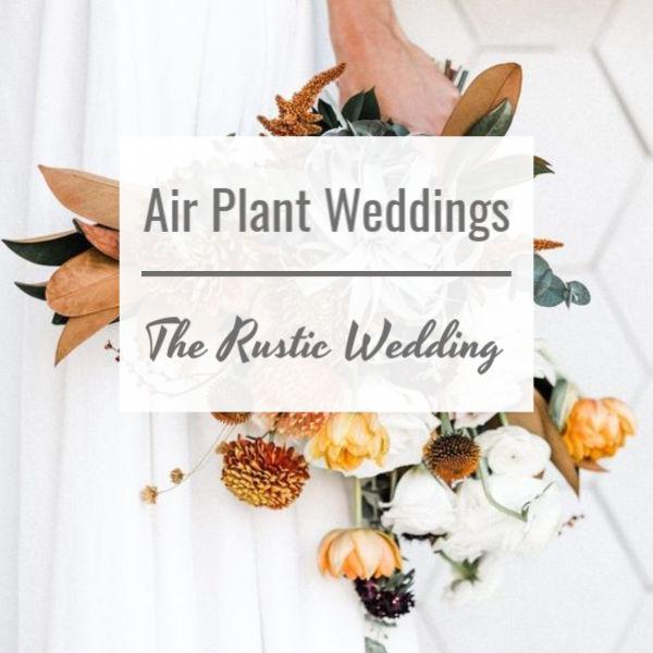 Air Plant Weddings, The Rustic Wedding - wedding bouquet 
