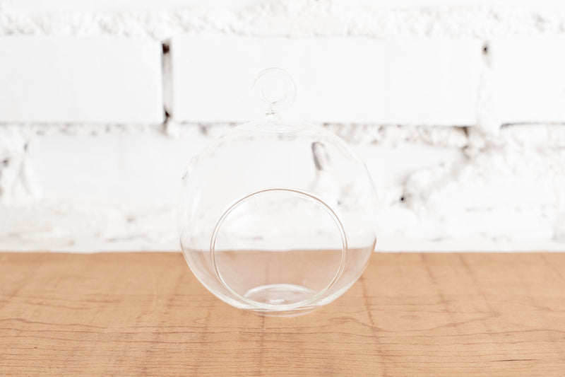 Flat Bottom Glass Globe Terrarium