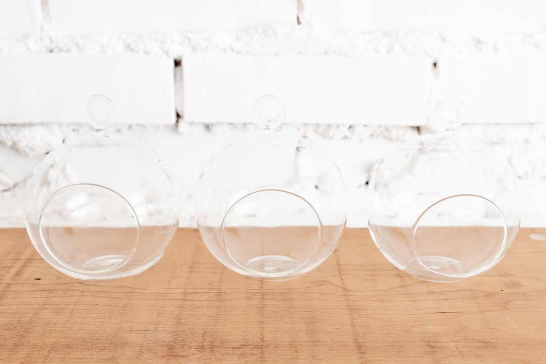 3 Flat Bottom Glass Globe Terrariums