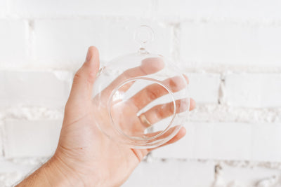 Hand Holding a Flat Bottom Glass Globe Terrarium