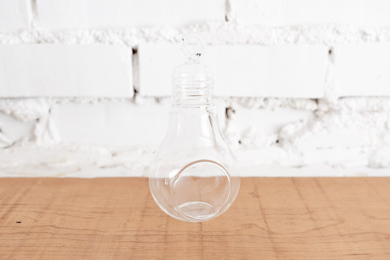 Glass Light Bulb Shaped Terrarium