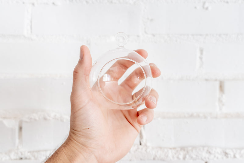 Hand Holding Mini Flat Bottom Glass Globe Terrarium