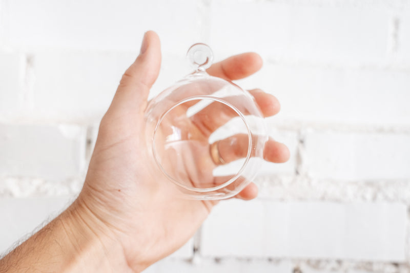 Hand Holding Mini Flat Bottom Glass Globe Terrarium