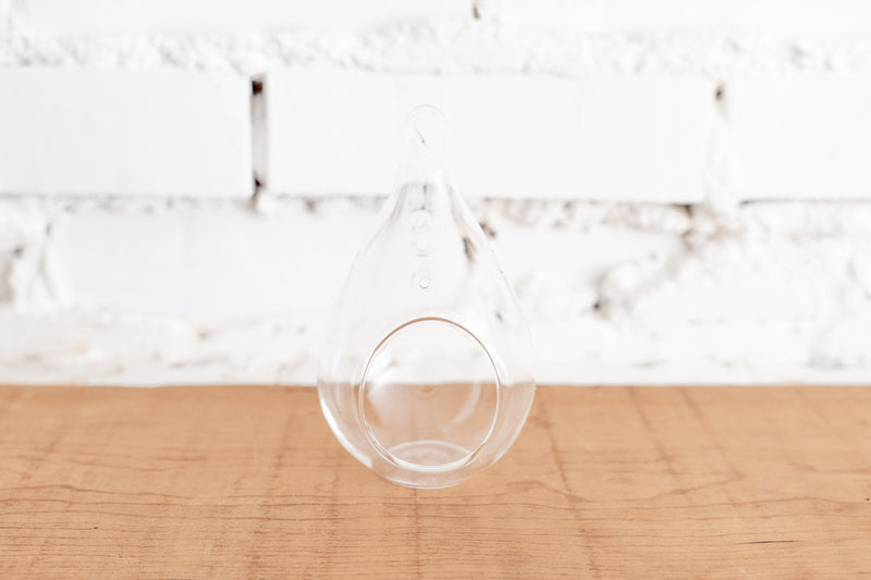 Teardrop Shaped Glass Terrarium