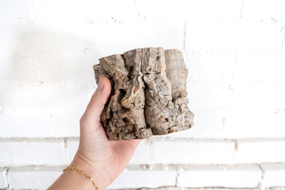 Natural Cork Bark Planter