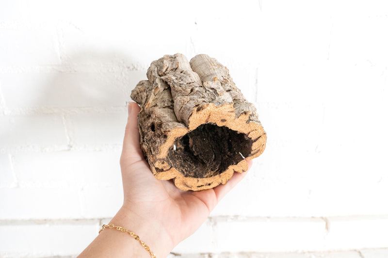 Natural Cork Bark Planter