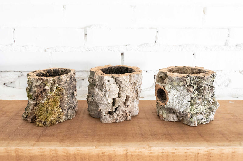 3 Natural Cork Bark Planters