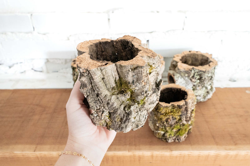 5 Natural Cork Bark Planters