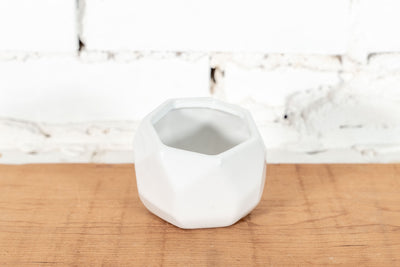 White Ceramic Geometric Planter