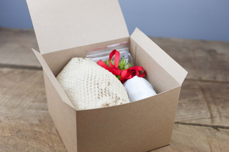 Terrarium Kit Packaged in a Gift Box