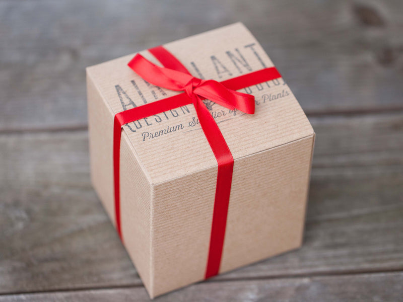 Branded Gift Box Wrapped with Red Ribbon